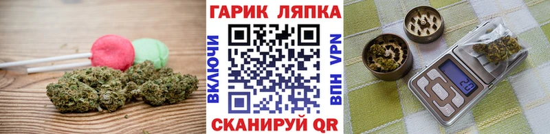 Cannafood конопля  Межгорье 