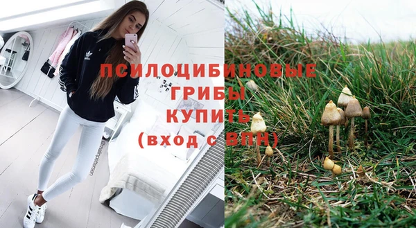 дживик Арсеньев