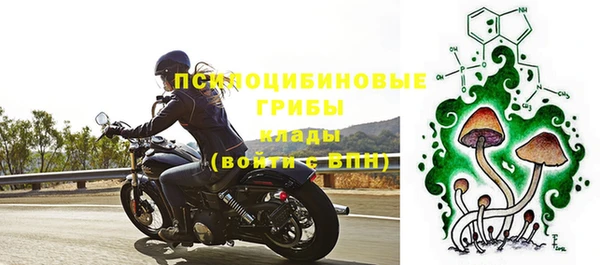 дживик Арсеньев